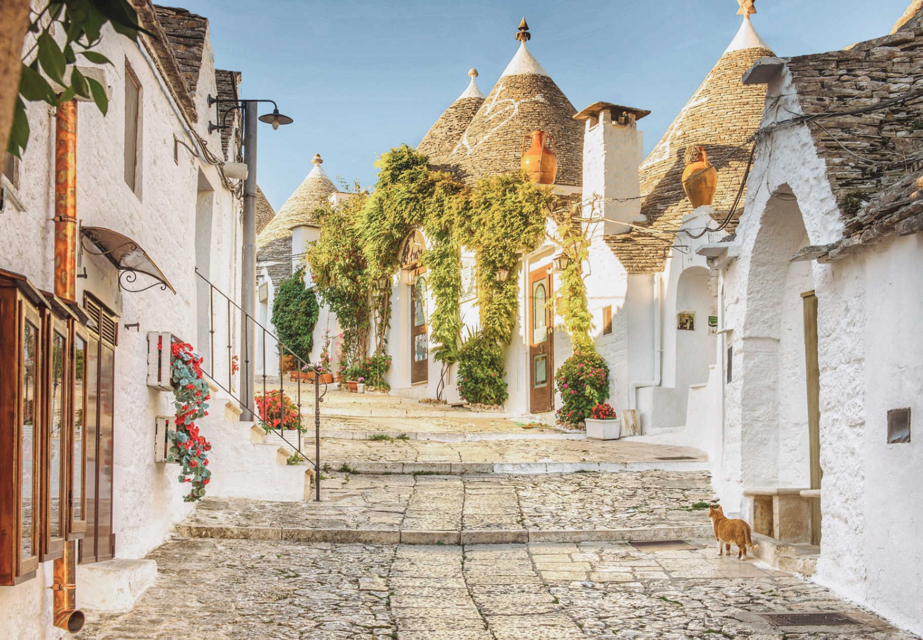 Whitewashed trulli-lined lane in Alberobello, Puglia