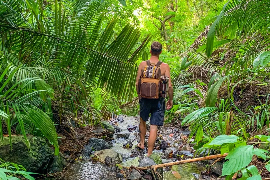 Gentle jungle trail through the Sierra Madre