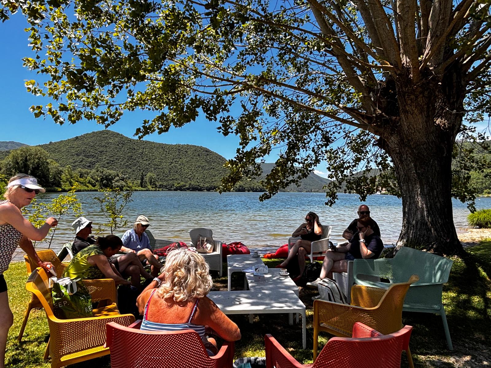 Group lounging lakeside under a plane tree